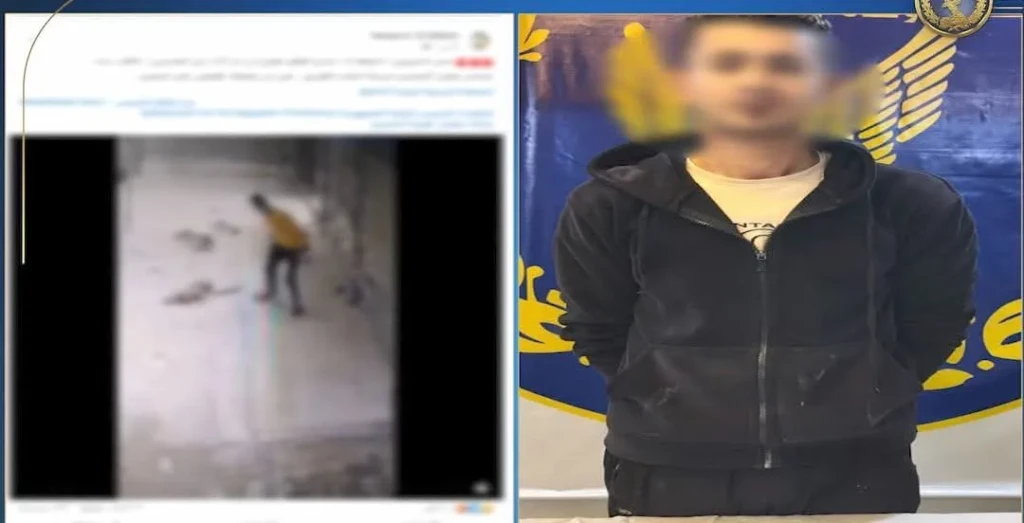 الداخلية:ضبط أحد الأشخاص لقيامه بالاعتداء علي كلب