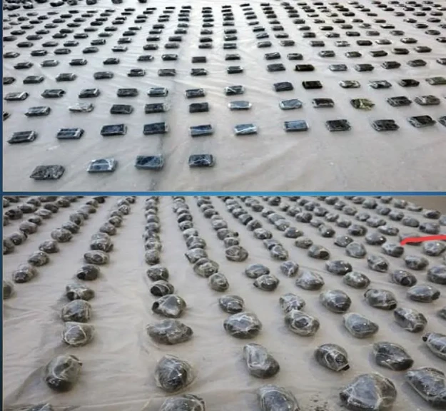 الداخلية:ضبط كميات من المواد المخدرة بقيمة 111 مليون جنيه بحوزته عناصر إجرامية