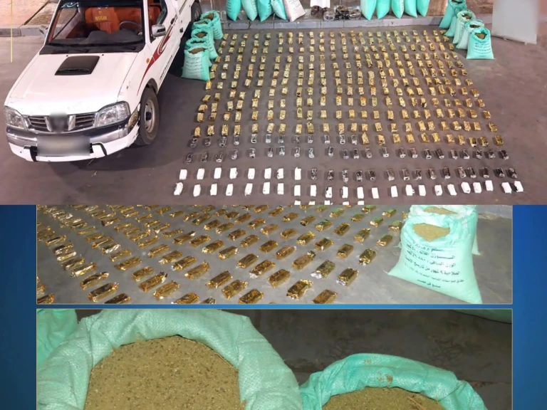 الداخلية:ضبط عناصر إجرامية بحوزتهم كميات من المواد المخدرة بقيمة 85 مليون جنيه