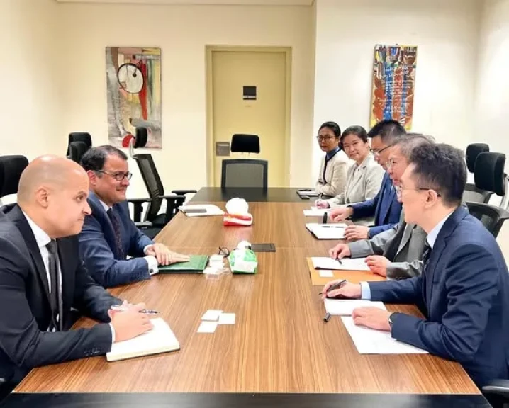 مشاورات مصرية صينية حول القرن الأفريقي