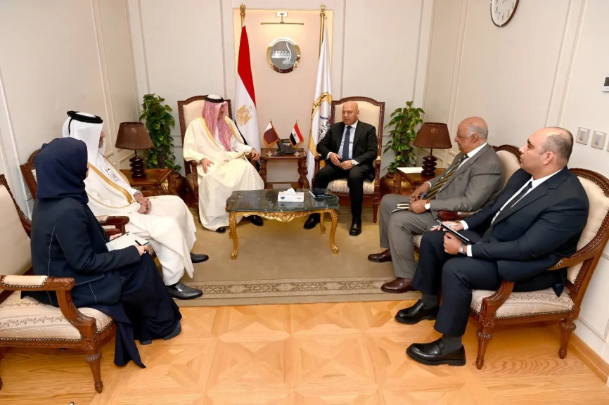 نائب رئيس مجلس الوزراء للتنمية الصناعية وزير الصناعة والنقل يبحث مع وزير التجارة الخارجية القطري تدشين مشروعات تكاملية مصرية قطرية