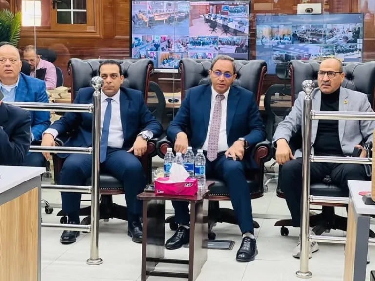 محافظ قنا يتابع أعمال فتح اللجان الانتخابية بجولة الإعادة لانتخابات مجلس النواب 2025