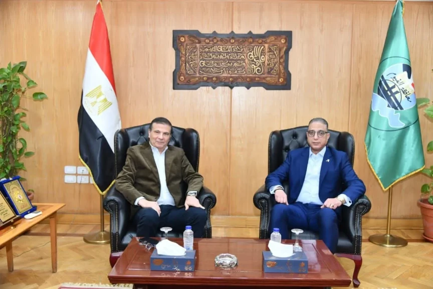 صورة توضيحية 