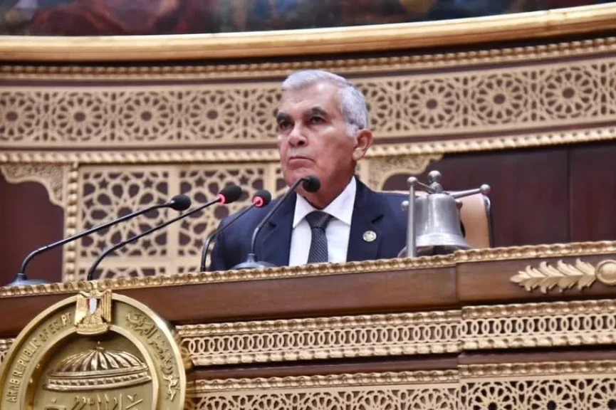 مجلس الشيوخ يواصل جلساته بمناقشه تعديل بعض احكام قانون الضريبة العقارية