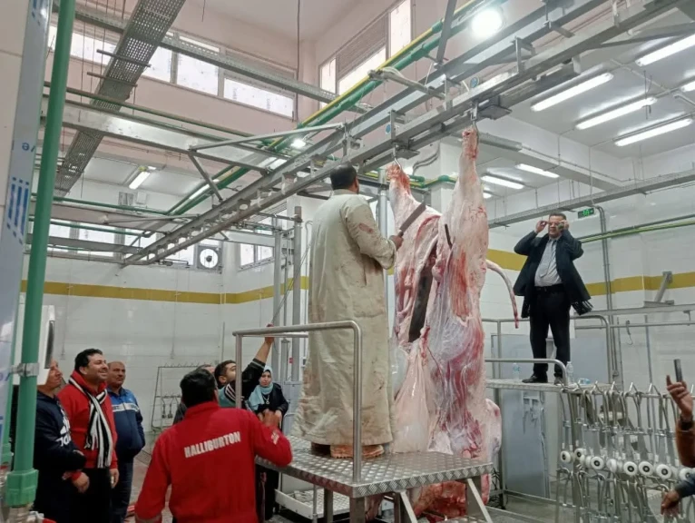 محافظ المنوفية يتابع آليات التشغيل التجريبي لمجزري شبين الكوم وجنزور ببركة السبع