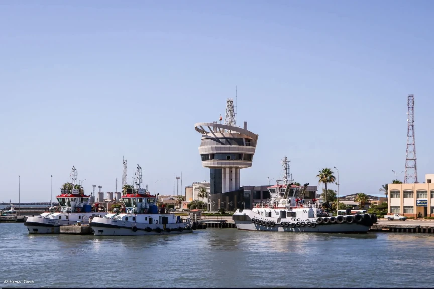 حركة الملاحة فى  ميناء دمياط اليوم الجمعة الموافق 9 / 1 / 2026