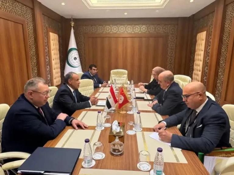 وزير الخارجية المصرى يلتقي مع نظيره التونسي