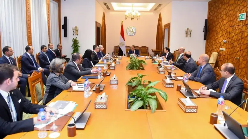 وزير الخارجية يؤكد أولوية الدائرة الإفريقية في السياسة الخارجية المصرية