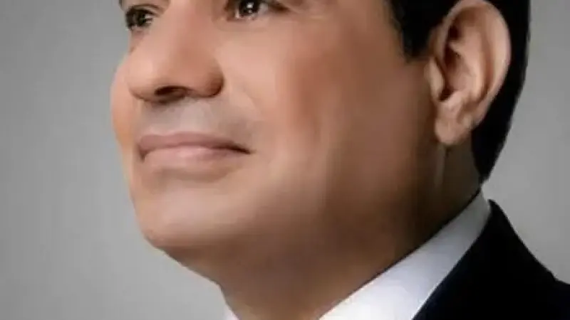 الرئيس السيسي للحكومة والبرلمان: يجب سن قانون لمنع استخدام الهواتف المحمولة للفئات الصغيرة