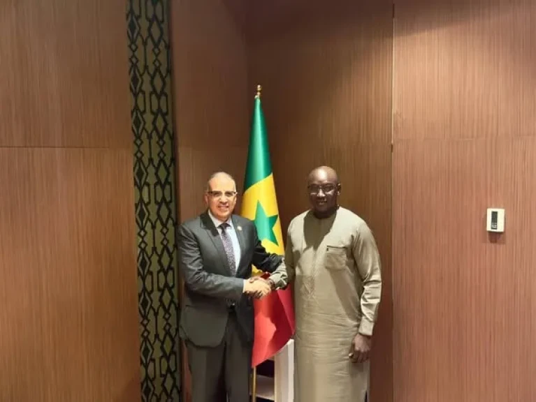 وزير الري يلتقى وزير المياه السنغالى