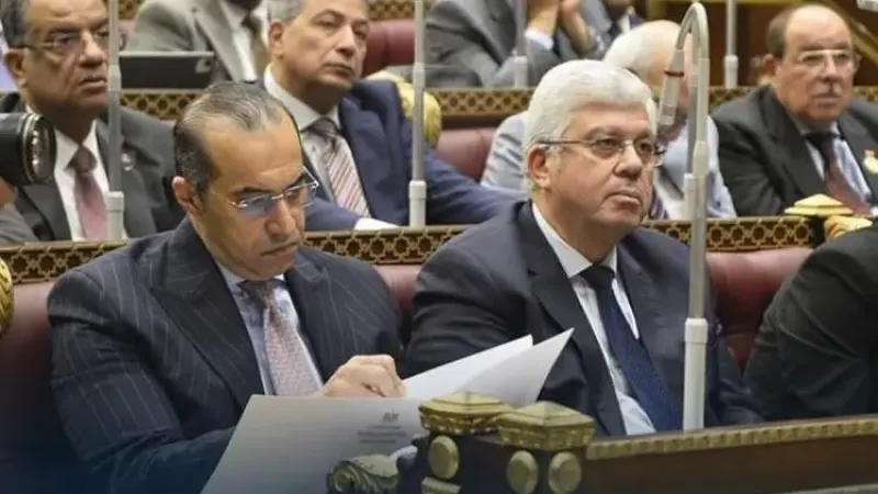 المستشار محمود فوزي: مشروع القانون لم يتضمن أي نص يتعلق بمهنة الطب