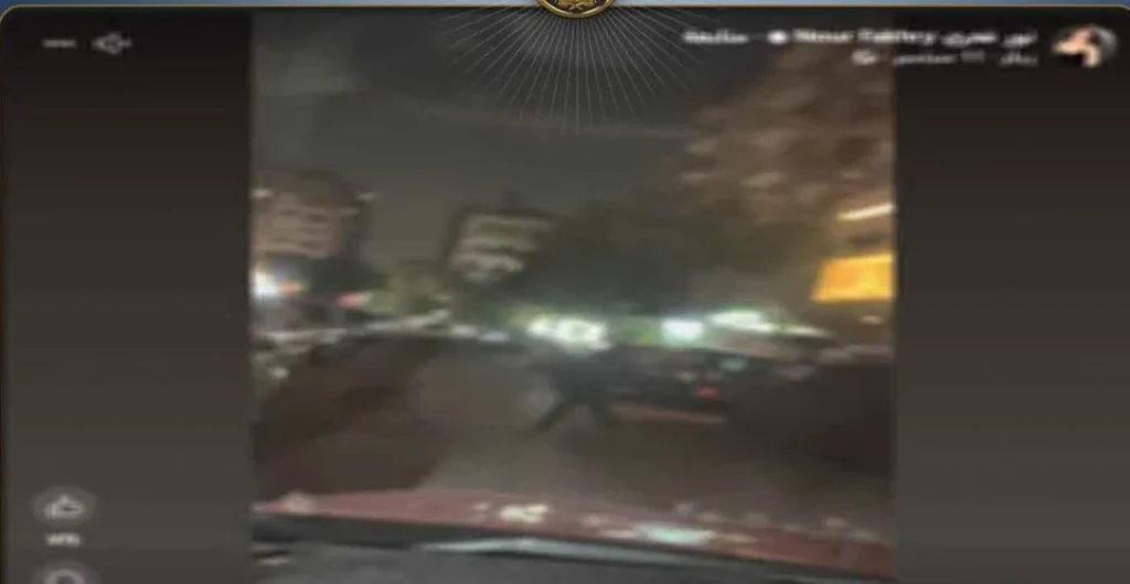 الداخلية: كشف ملابسات مقطع فيديو الاعتداء علي الكلاب الضالة بالقاهرة