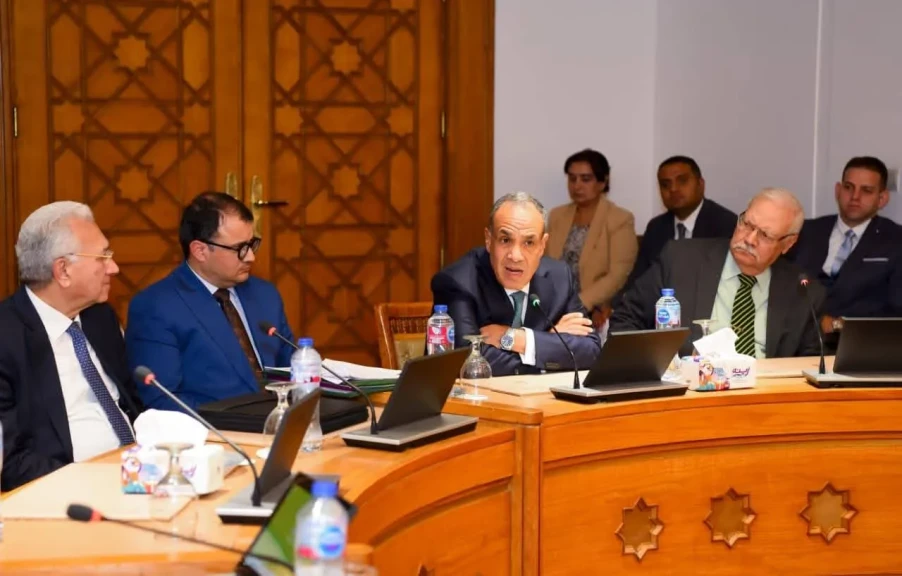 وزير الخارجية يلتقي سفراء مصريين سابقين متخصصين في الشأن الإفريقي