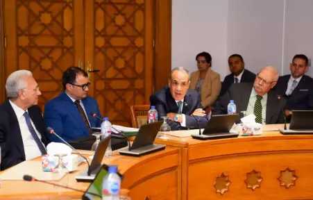 وزير الخارجية يلتقي سفراء مصريين سابقين متخصصين في الشأن الإفريقي