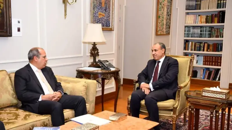 وزير الخارجية يستقبل رئيس الجامعة البريطانية في مصر