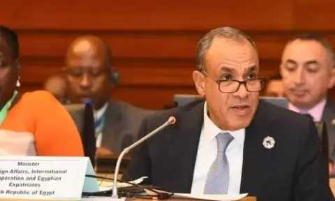 وزير الخارجية يجدد التزام مصر بدعم استرداد التراث الإفريقي