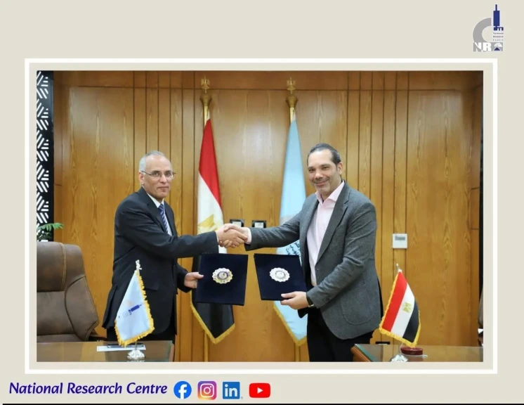 التعليم العالي: تحالف استراتيجي لدعم التنمية المستدامة وتمكين الفئات الأكثر احتياجًا