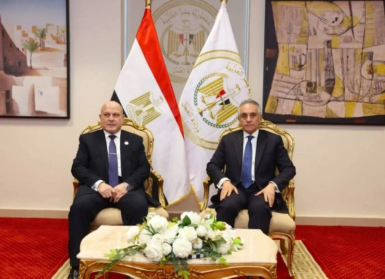 وزير العدل يستقبل رئيس هيئة النيابة الإدارية