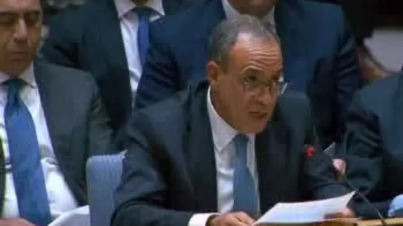 وزير الخارجية يؤكد على ثوابت الموقف المصري تجاه القضية الفلسطينية خلال جلسة مجلس الأمن حول الشرق الأوسط