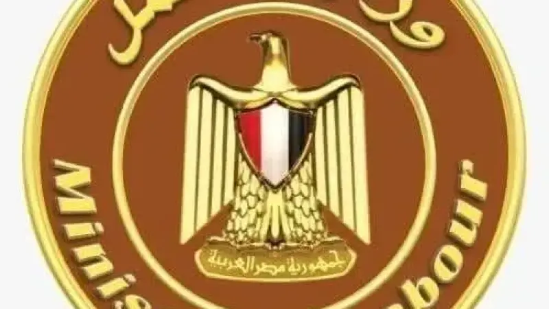 وزارة العمل تحذر: صفحات وهمية تستغل اسم ”منحة العمالة غير المنتظمة” للنصب على المواطنين ونشر معلومات مضللة