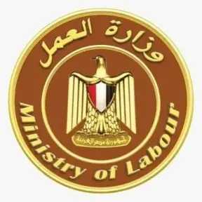 وزارة العمل تحذر: صفحات وهمية تستغل اسم ”منحة العمالة غير المنتظمة” للنصب على المواطنين ونشر معلومات مضللة