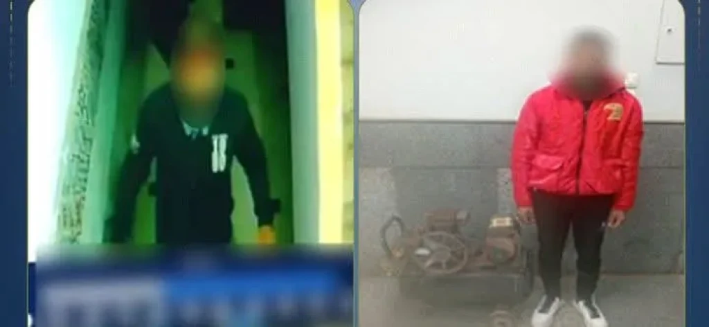 الداخلية: ضبط أحد الأشخاص بسرقة ماكينة ضغط هواء من داخل أحد المنازل بالدقهلية