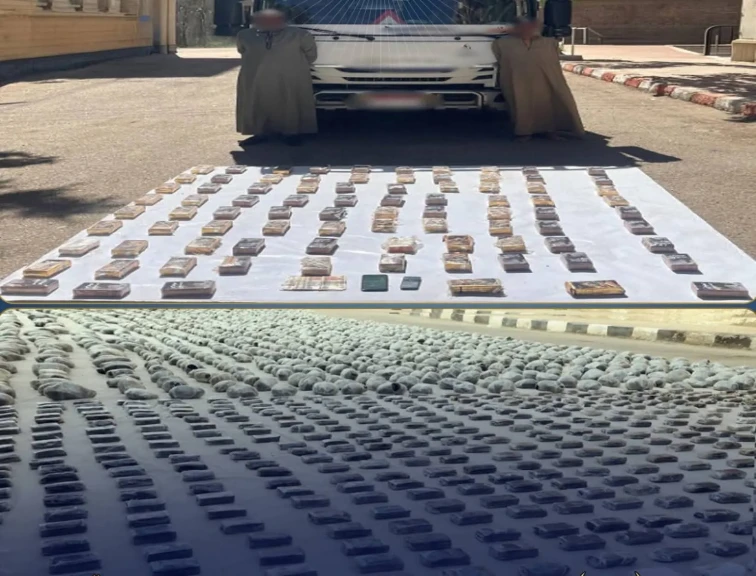 الداخلية:ضبط 240 كيلو جرام من المواد المخدرة وعدد من العناصر الإجرامية