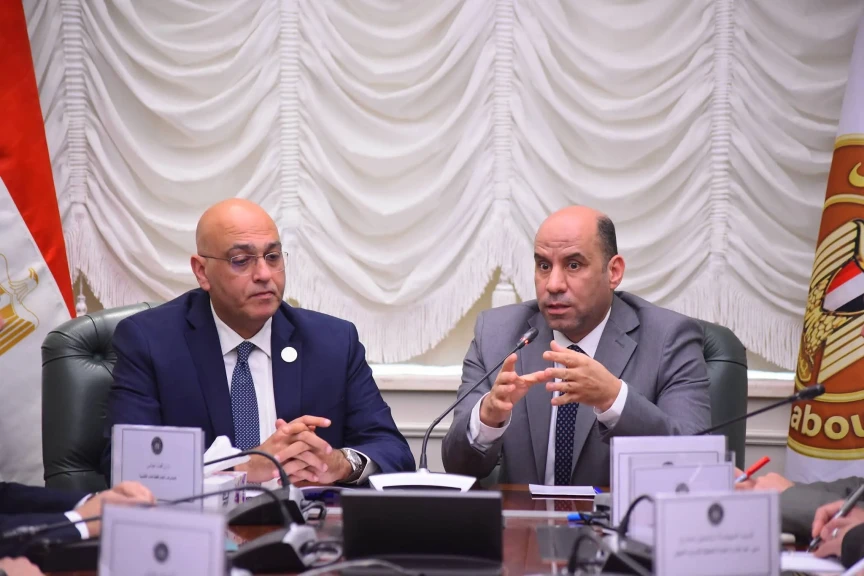 وزير العمل يلتقي الرئيس التنفيذي لجهاز تنمية المشروعات المتوسطة والصغيرة ومتناهية الصغر