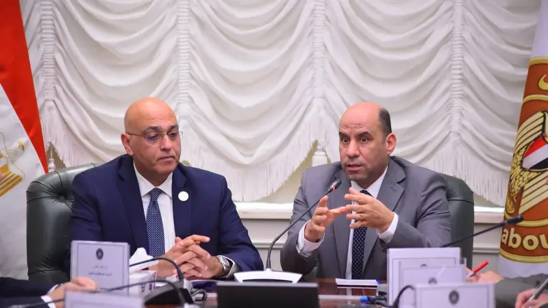 وزير العمل يلتقي الرئيس التنفيذي لجهاز تنمية المشروعات المتوسطة والصغيرة ومتناهية الصغر