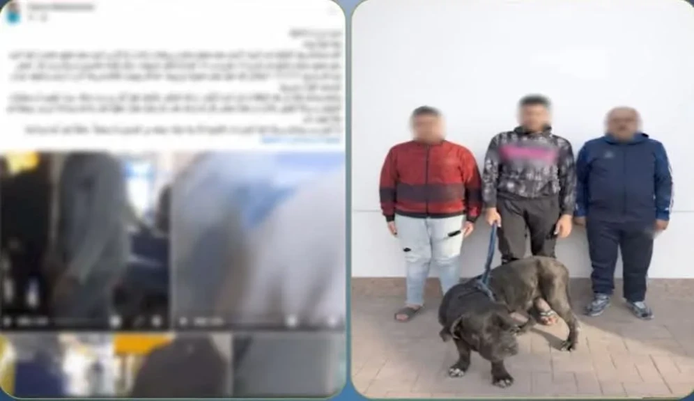 الداخلية: ضبط المتهمين في مقطع فيديو التعدي علي سيدة بالضرب بإستخدام كلب بالإسكندرية