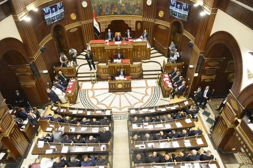 وزير شئون المجالس النيابية يحضر جلسة مجلس الشيوخ للنظر في تعديل قانون تنظيم العمل في المستشفيات الجامعية