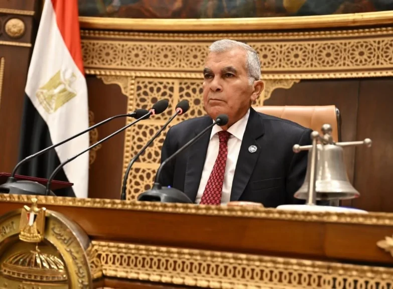 المستشار عصام فريد 