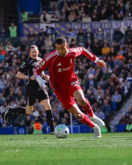 فى غياب صلاح ليفربول يتلقى هزيمة في الدوري الإنجليزي الممتاز أمام برايتون