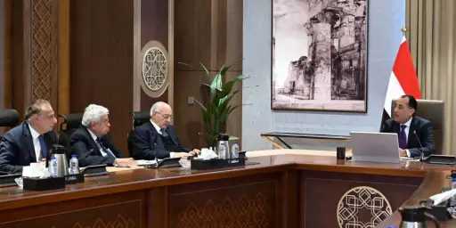 رئيس الوزراء يلتقي أعضاء اللجنة الاستشارية للشئون السياسية