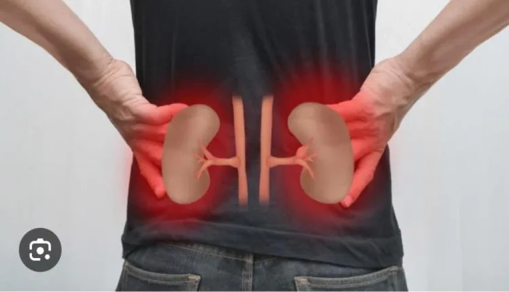 الأردن مقرا إقليميا للصندوق الأخضر للمناخ لخدمة الشرق الأوسط وشرق أوروبا ووسط آسيا