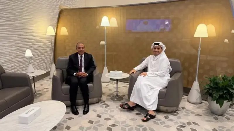 وزير الخارجية المصرى يلتقي رئيس مجلس الوزراء ووزير خارجية قطر بالدوحة