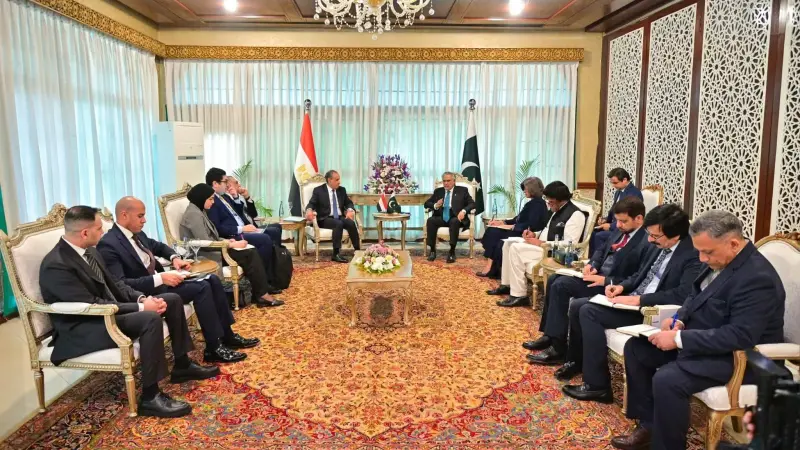 وزيرا خارجية مصر وباكستان يبحثان سبل تعزيز العلاقات الثنائية والتطورات الإقليمية