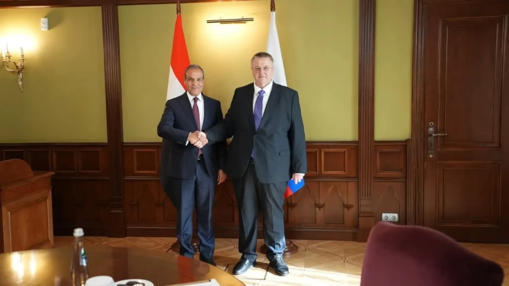 وزير الخارجية يلتقي نائب رئيس الوزراء الروسي فى موسكو