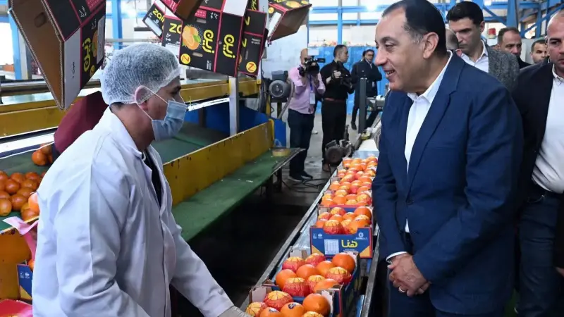 رئيس الوزراء يتفقد محطة الصواف لتعبئة الموالح والحاصلات الزراعية