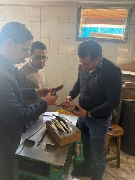 محافظ الغربية يتابع حملات الطب البيطري والتموين