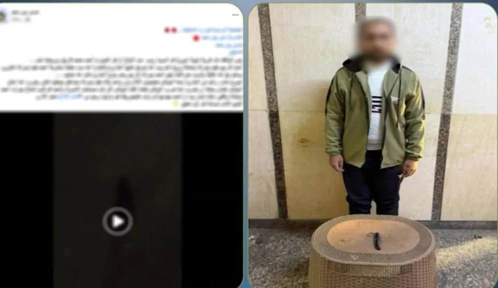 الداخلية: كشف ملابسات واقعة قيام شخص بالاعتداء علي والدته باستخدام سلاح أبيض ببورسعيد