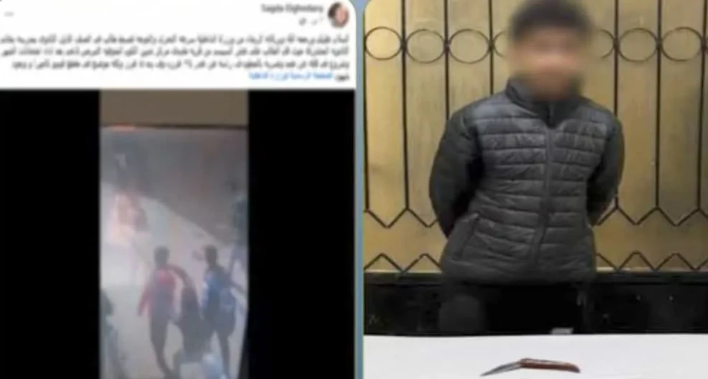 الداخلية: كشف ملابسات مقطع فيديو اعتداء طالب علي شقيقته بسلاح أبيض بالمنوفية