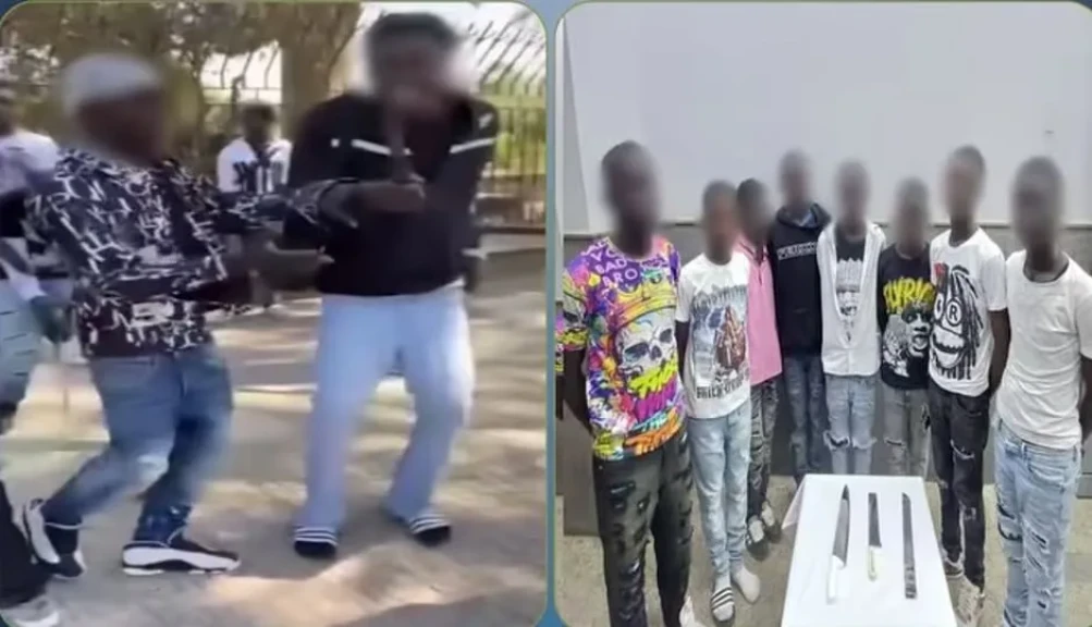 الداخلية:ضبط عدد من الأشخاص يحملون جنسية إحدى الدول بآداء حركات إستعراضية بأسلحة بيضاء بالقاهرة.