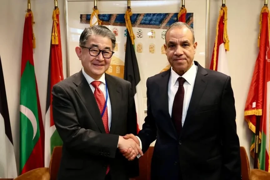 وزير الخارجية المصرى يلتقي النائب الأول لرئيس وكالة التعاون الدولي اليابانية