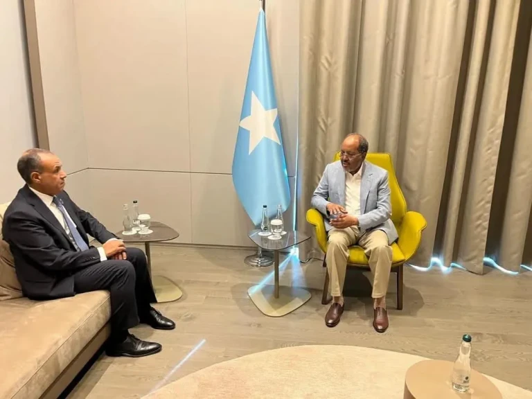 وزير الخارجية يلتقي الرئيس الصومالي ويؤكد مواصلة دعم مصر للصومال