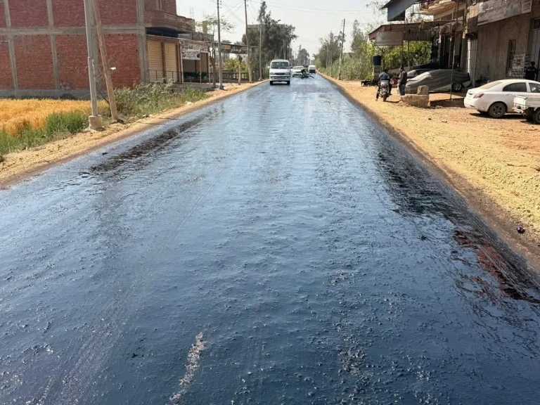 محافظ الغربية يتابع أعمال رصف طريق محلة زياد - كفر الصارم بمركز سمنود