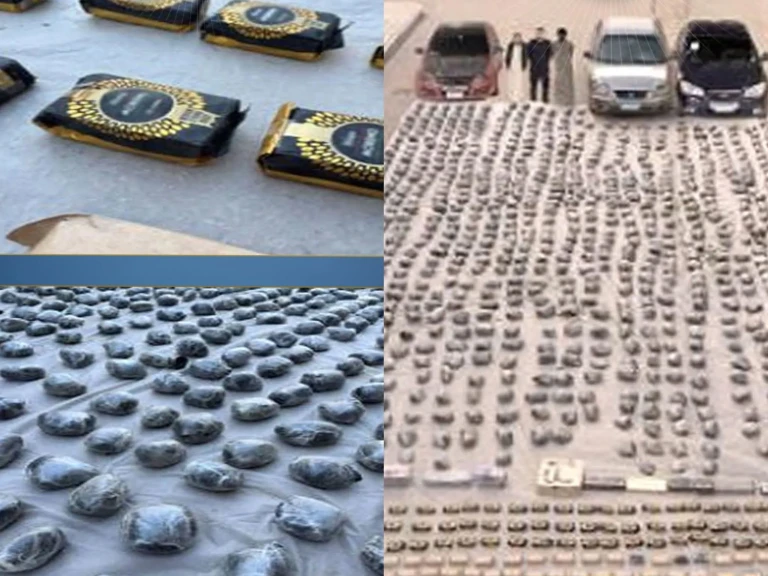الداخلية:ضبط كميات من المواد المخدرة بقيمة 175 مليون جنيه بالسويس