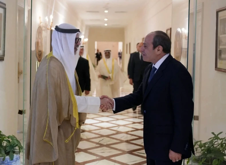 الرئيس السيسي يستقبل وزير خارجية دولة الكويت الشقيقة