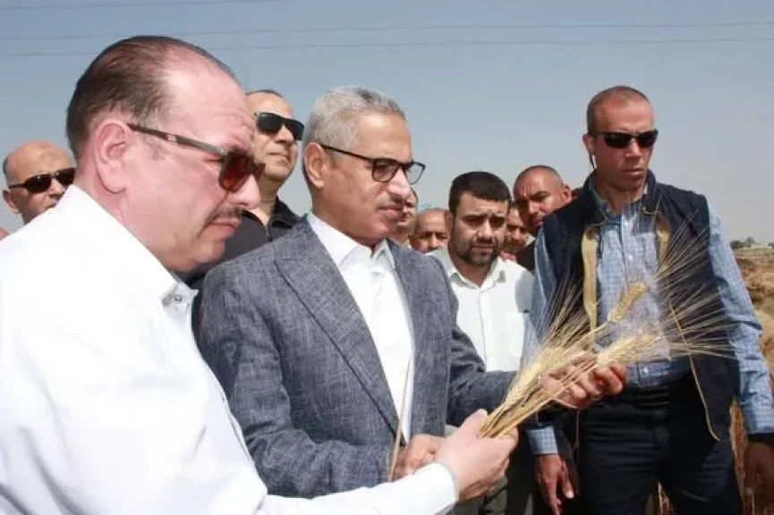 محافظ بني سويف يفتتح موسم حصاد القمح ويوجه رسائل للمزارعين