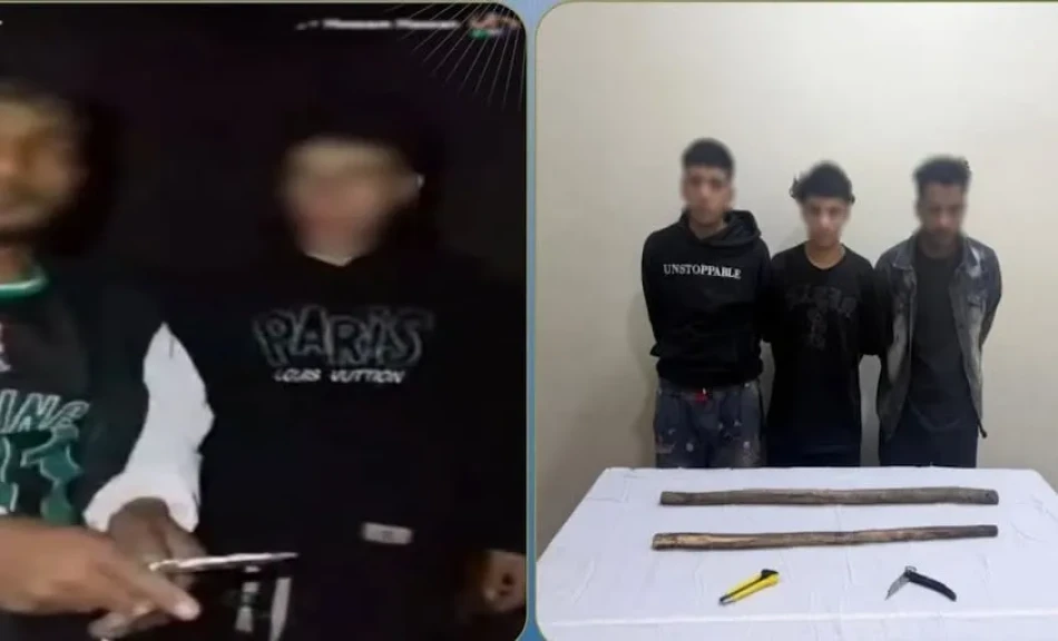 الداخلية: كشف ملابسات فيديو إجبار فتاة على التجرد من ملابسها تحت تهديد الأسلحة بالقليوبية